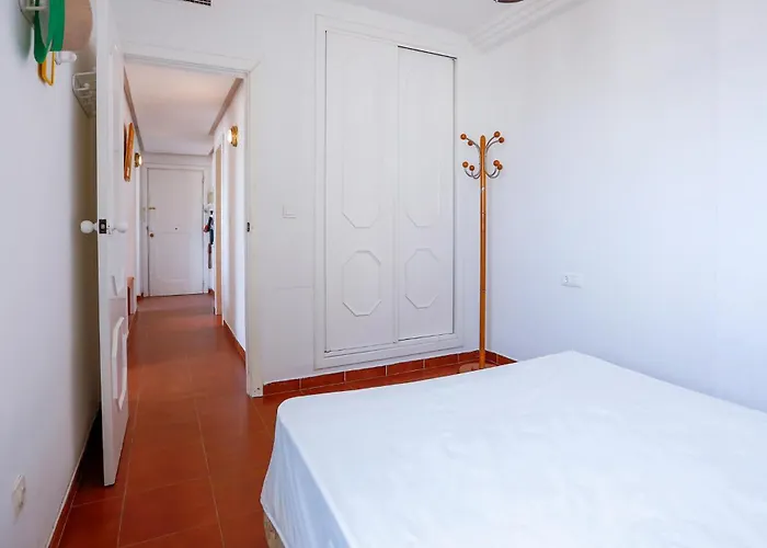 Awesome In Torrevieja